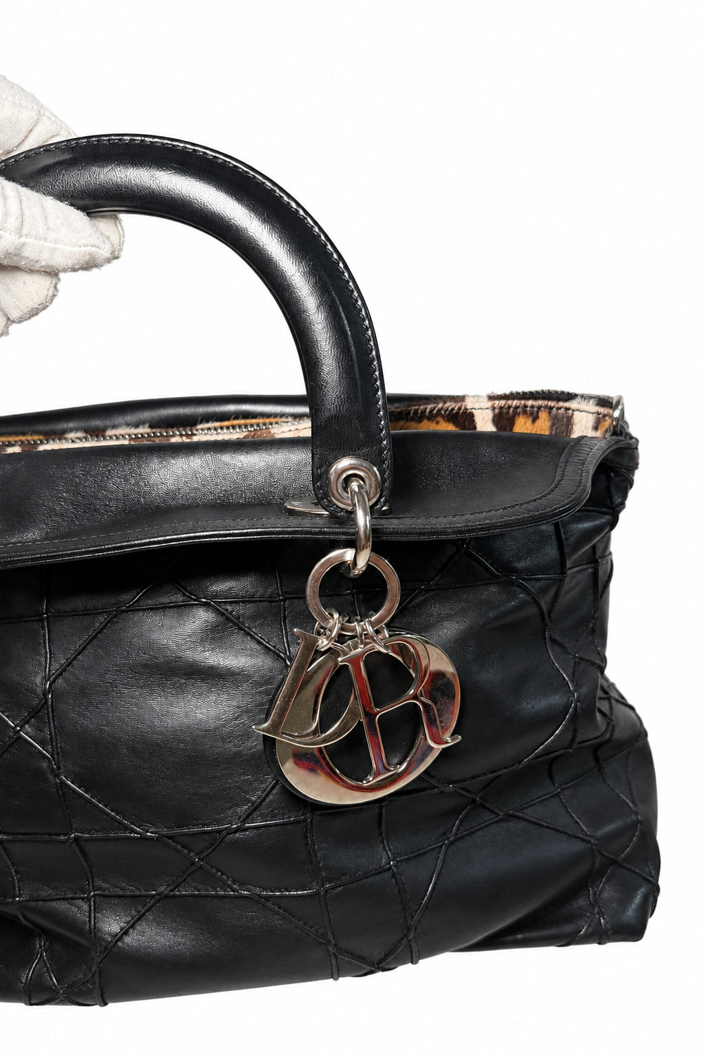 Dior Granville Détail Pony Leo