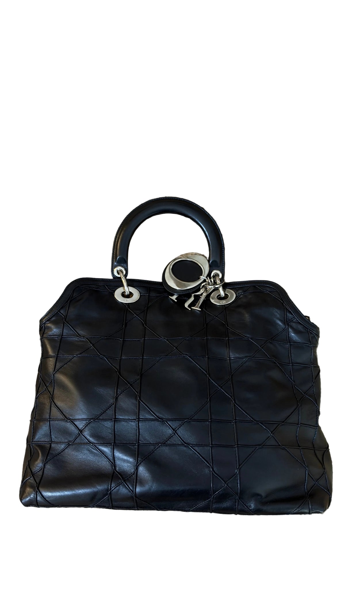 Dior Granville Détail Pony Leo