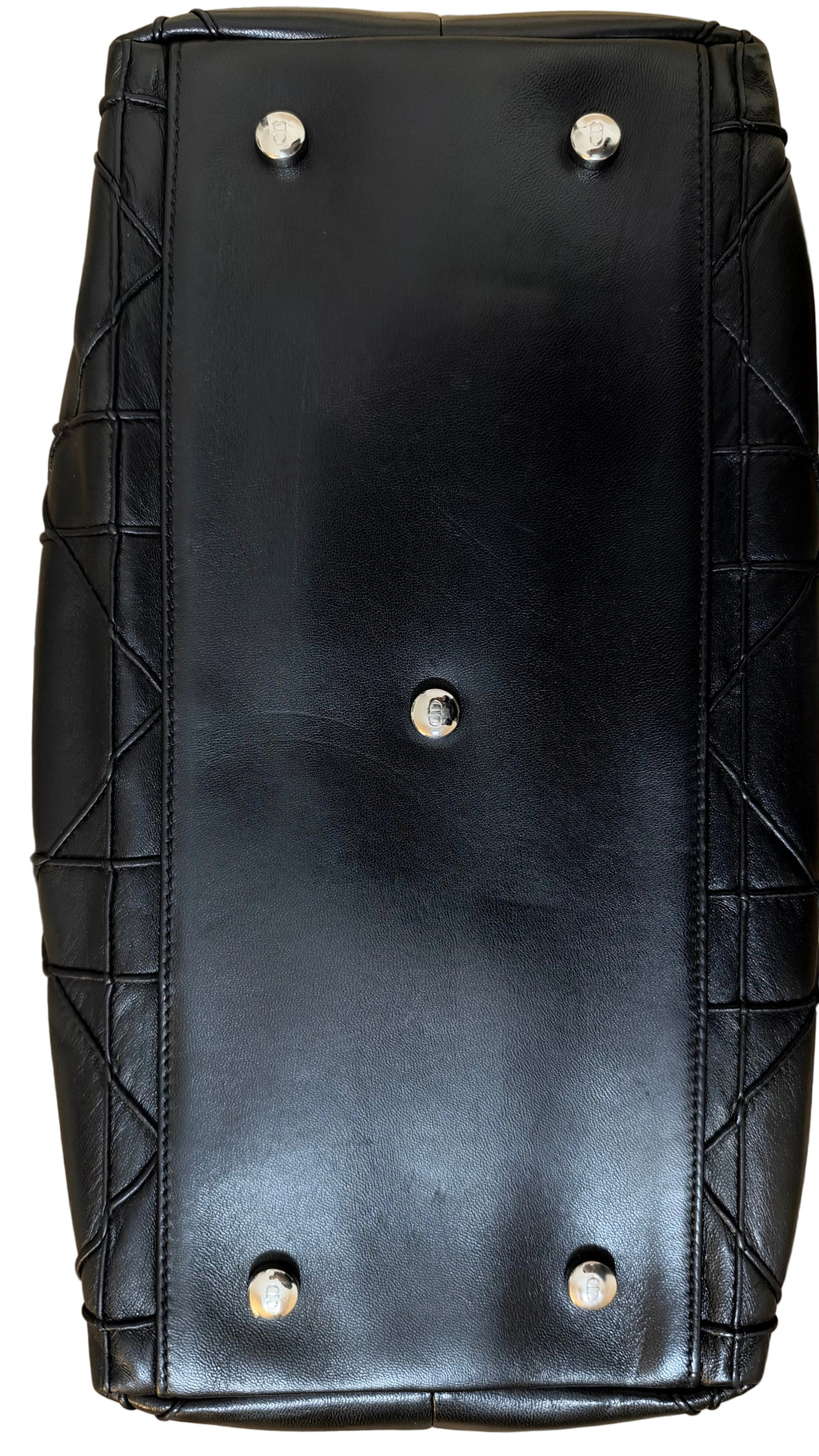Dior Granville Détail Pony Leo
