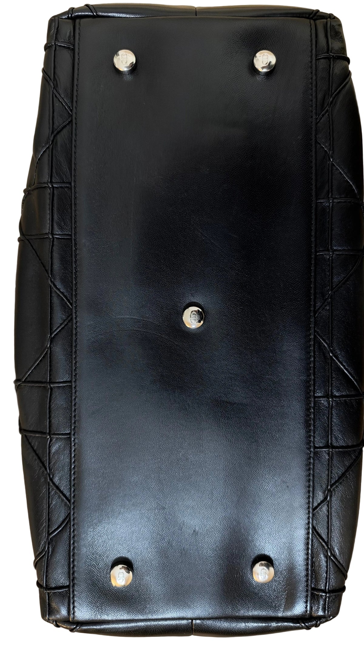 Dior Granville Détail Pony Leo