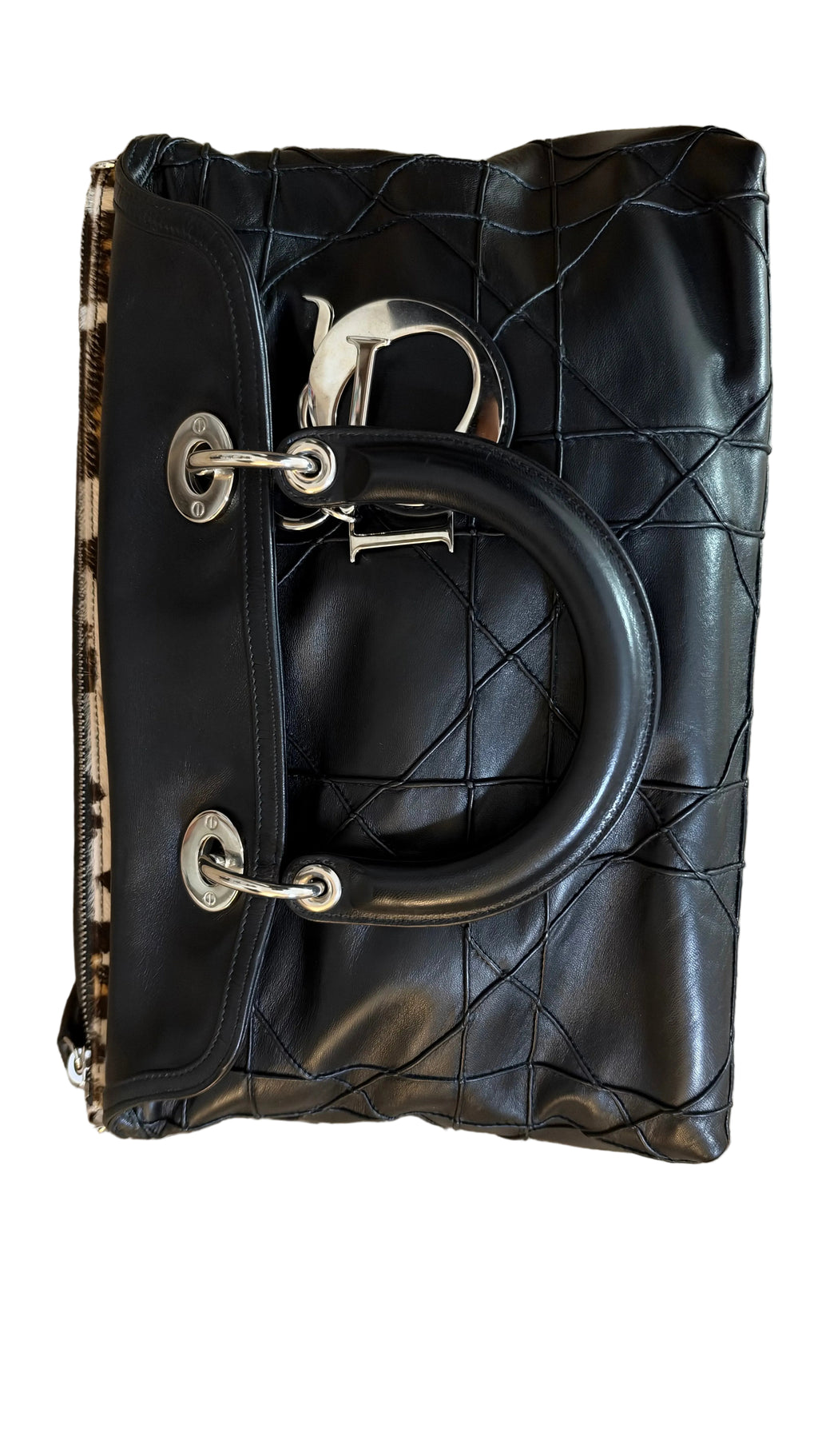 Dior Granville Détail Pony Leo