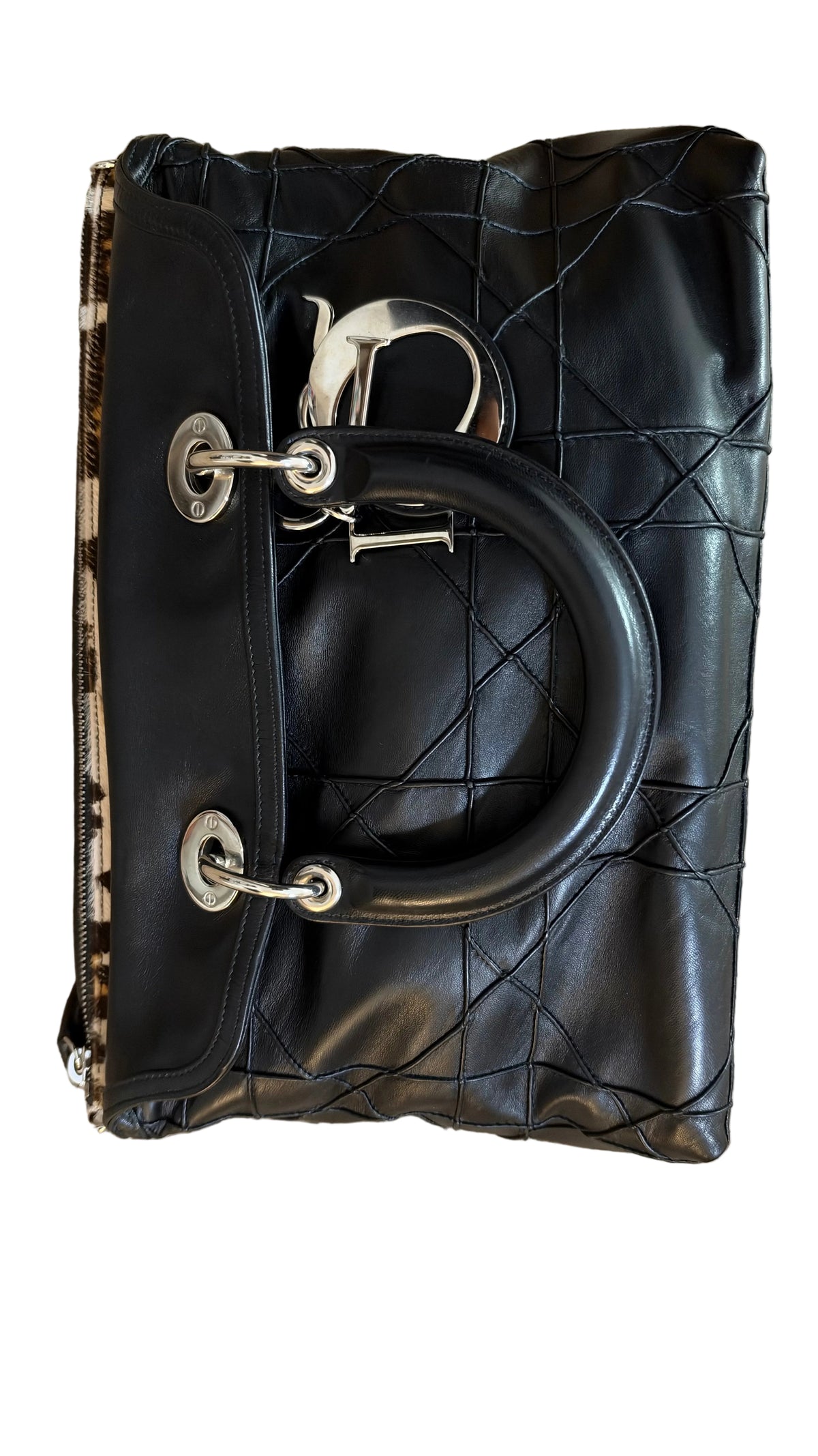 Dior Granville Détail Pony Leo