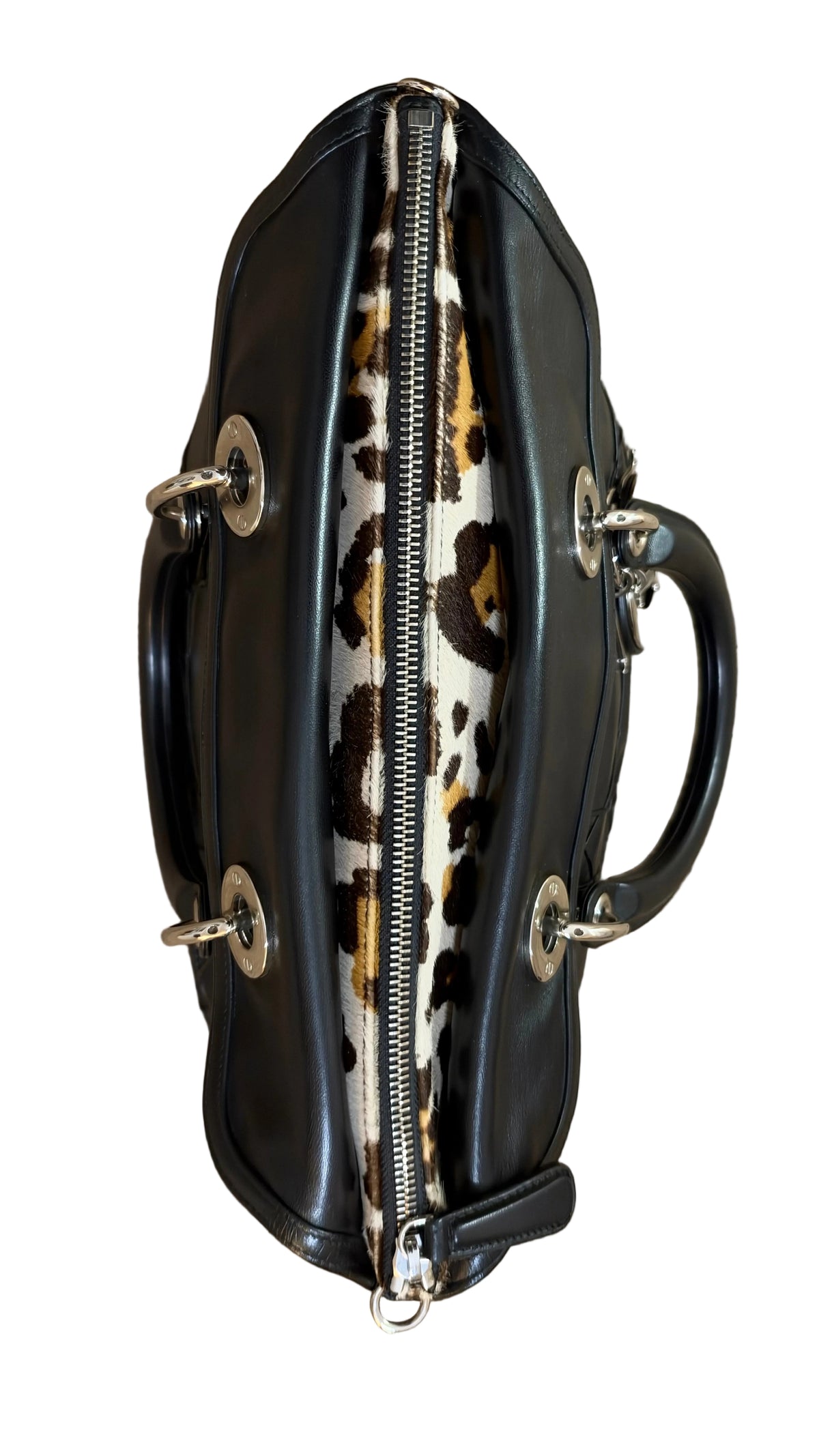 Dior Granville Détail Pony Leo