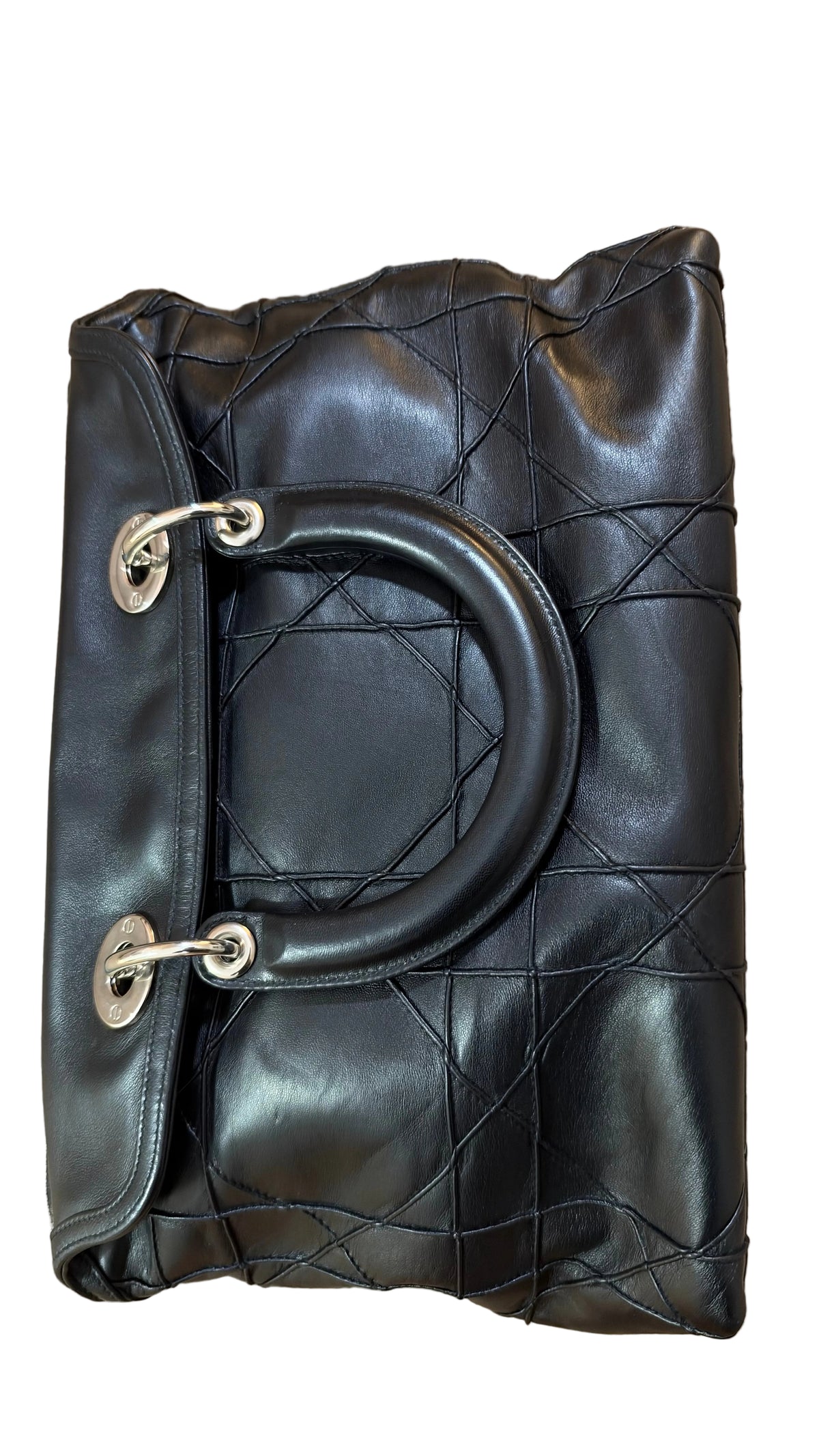 Dior Granville Détail Pony Leo