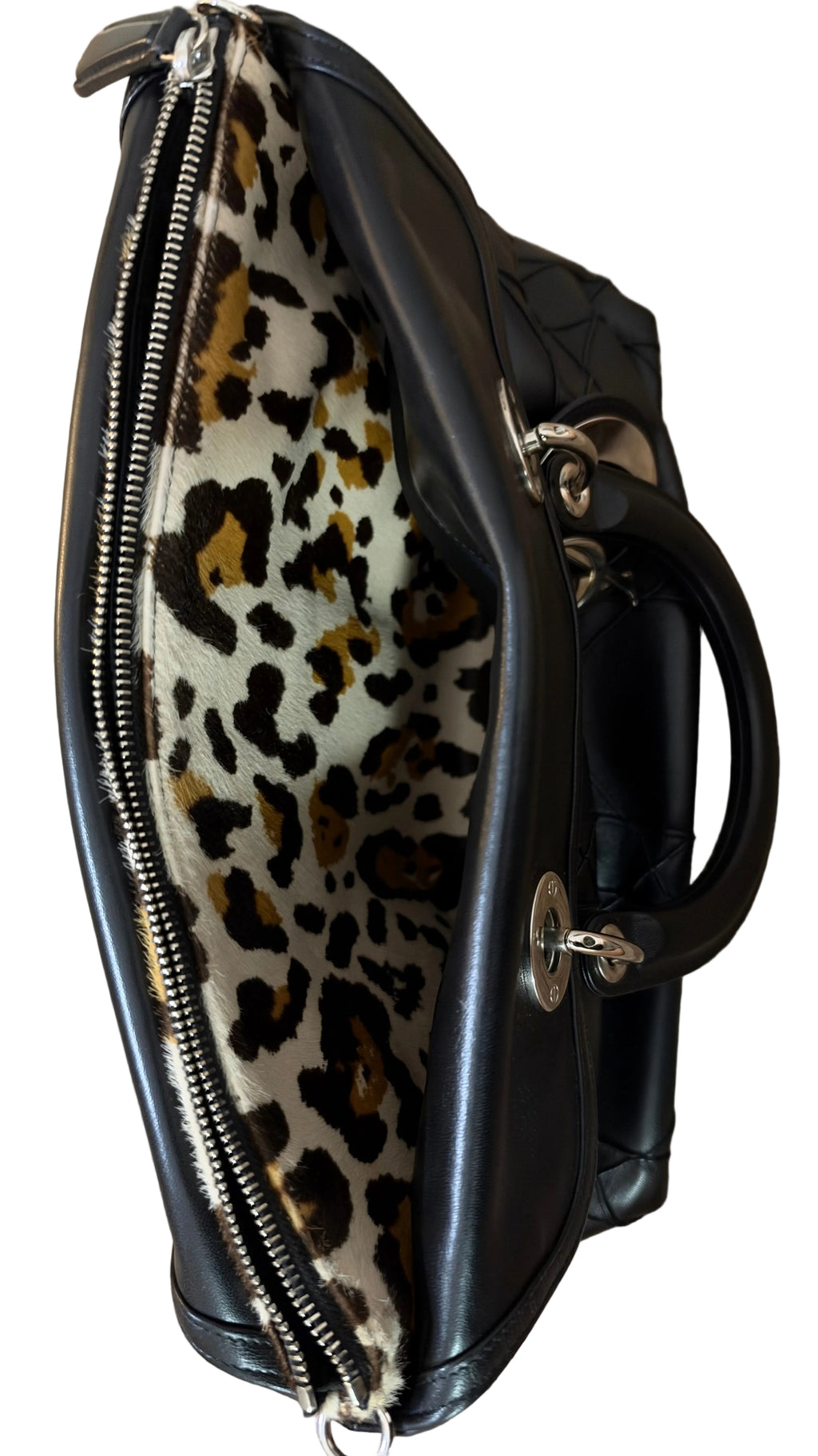 Dior Granville Détail Pony Leo