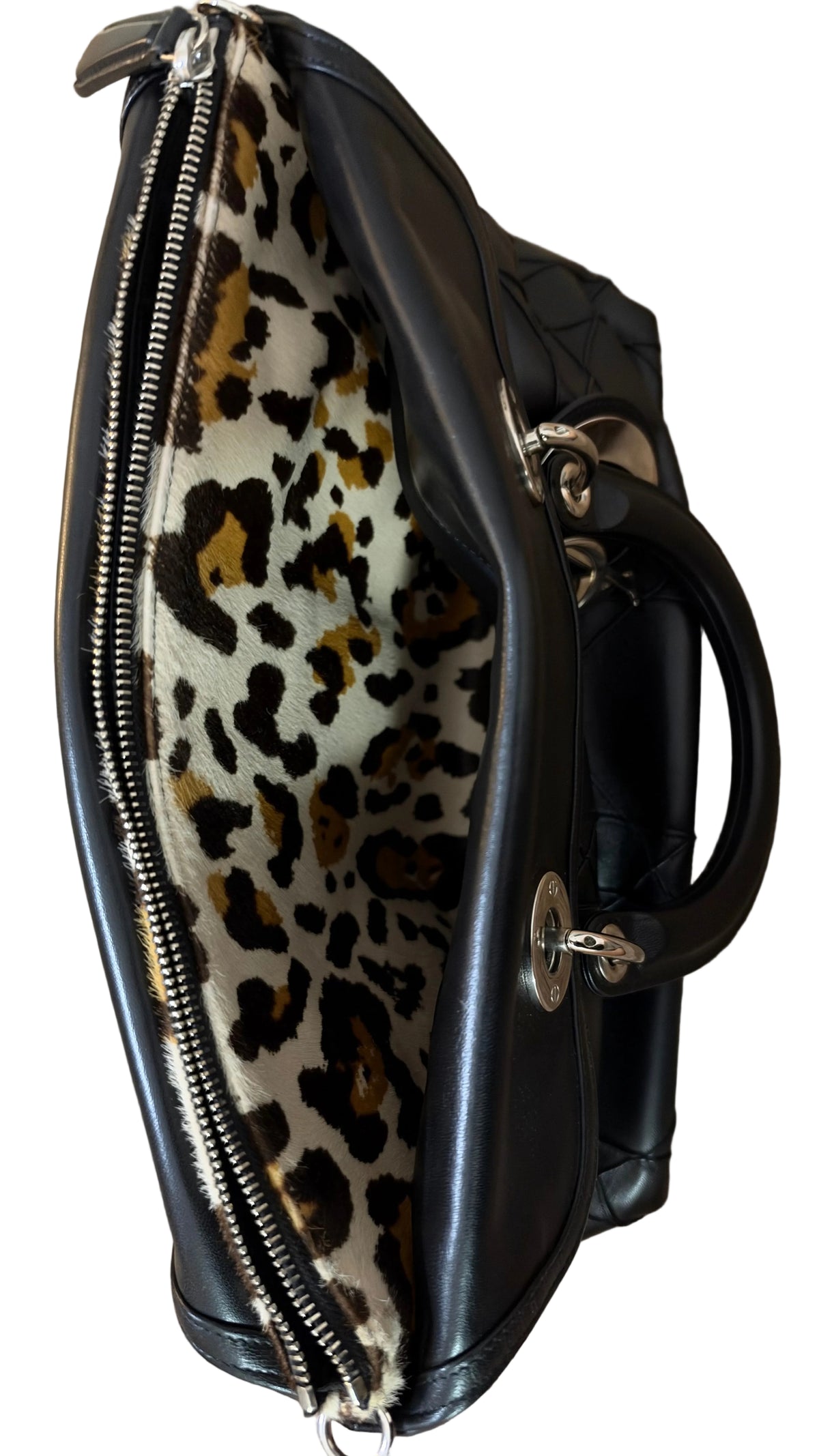 Dior Granville Détail Pony Leo