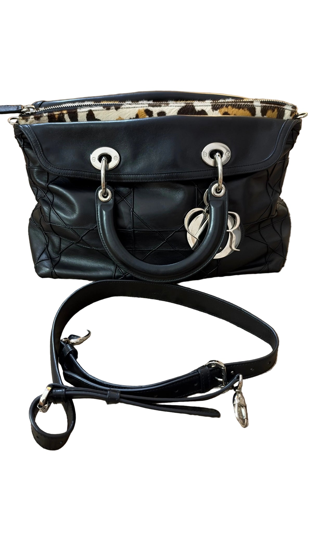 Dior Granville Détail Pony Leo